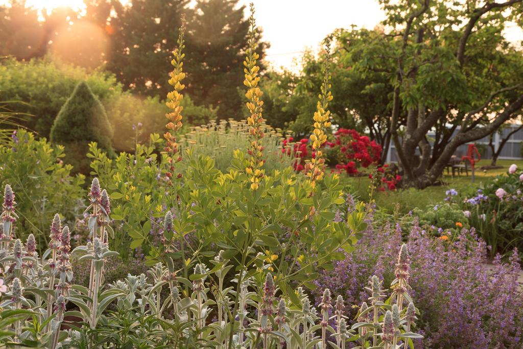 L'Auberge Provencale Inn & Restaurant Boyce Екстериор снимка